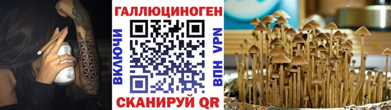 Галлюциногенные грибы Cubensis  Омск 